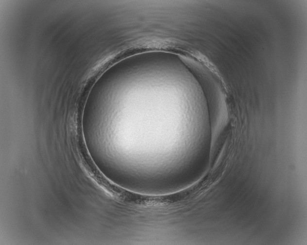X0000079300581200612011752
