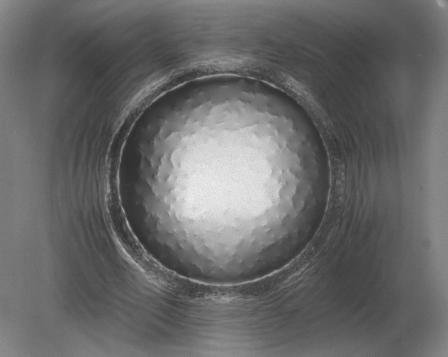X0000079300582200612011752