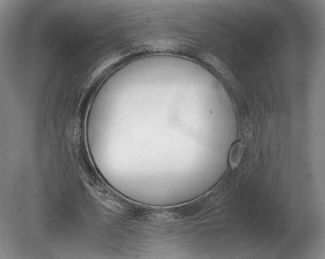 X0000079300583200612011752