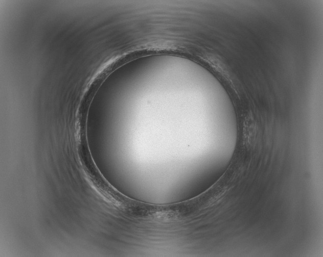 X0000079300584200612011752