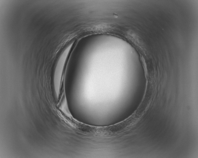 X0000079300585200612011752