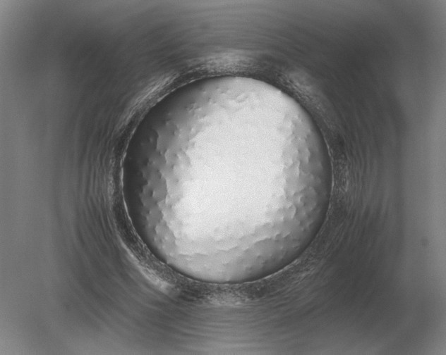 X0000079300586200612011752