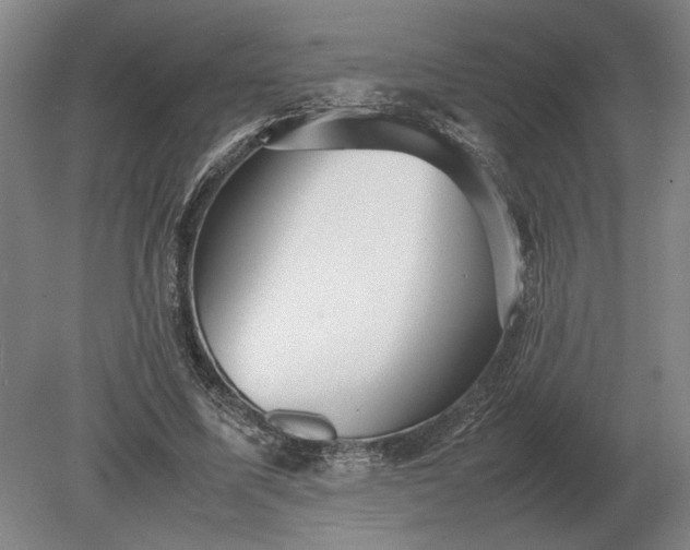 X0000079300587200612011752