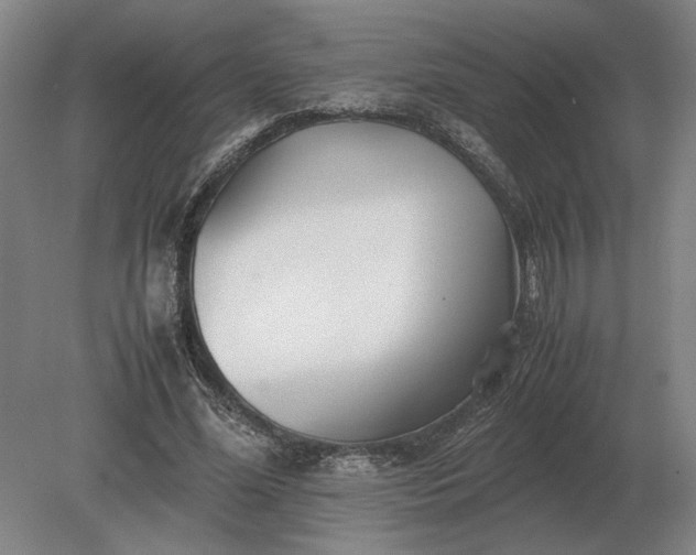 X0000079300588200612011752