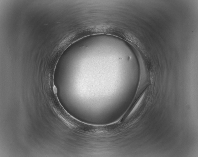 X0000079300589200612011752