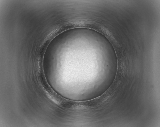 X0000079300590200612011752