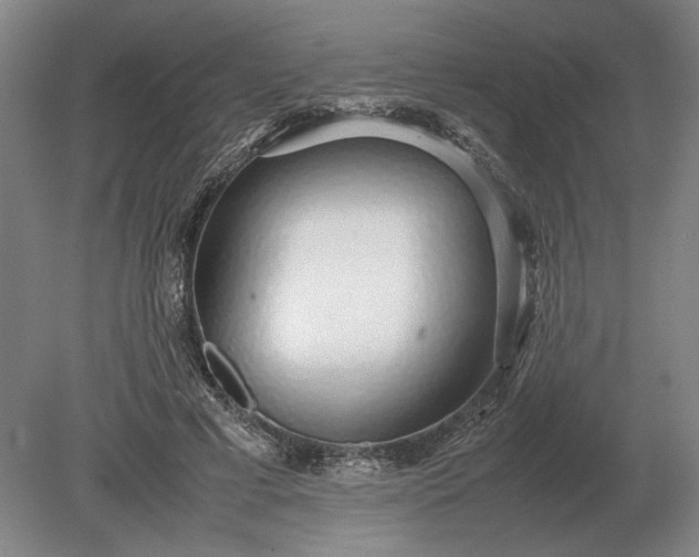 X0000079300593200612011752