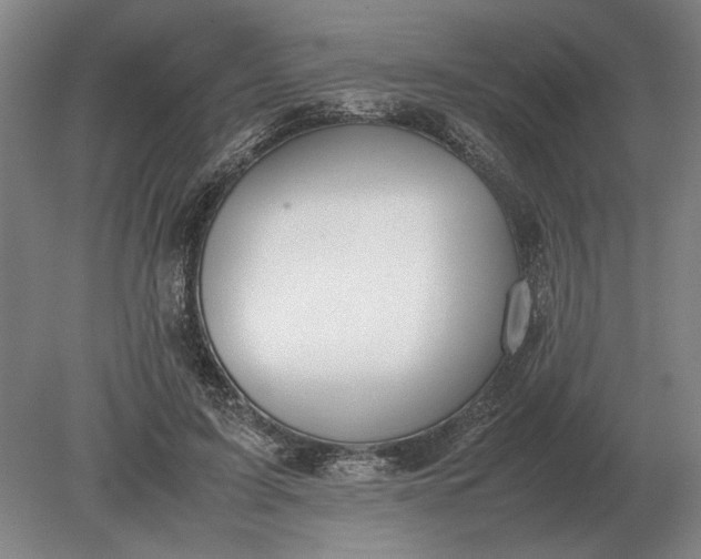 X0000079300595200612011752
