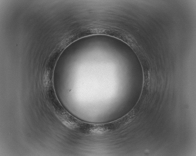 X0000079300598200612011752
