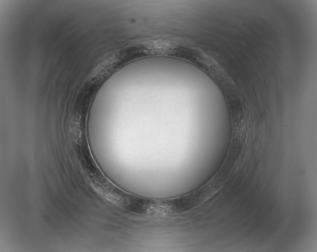 X0000079300599200612011752