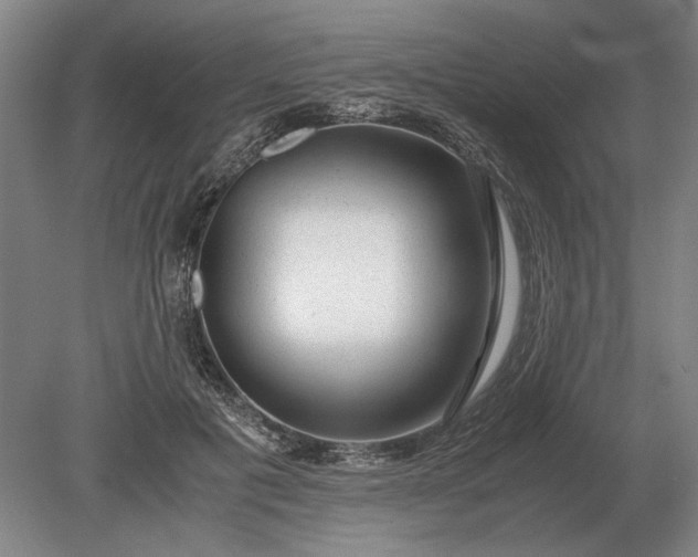 X0000079300601200612011752