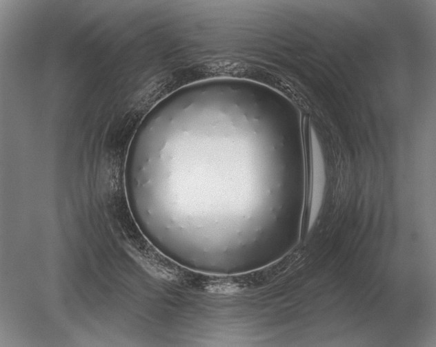 X0000079300602200612011751