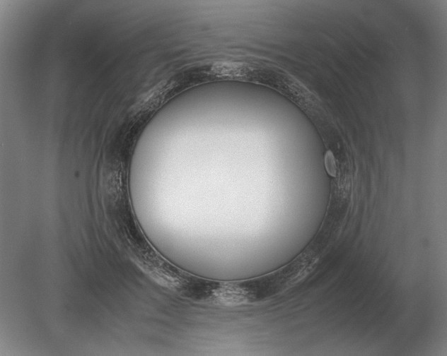 X0000079300603200612011751