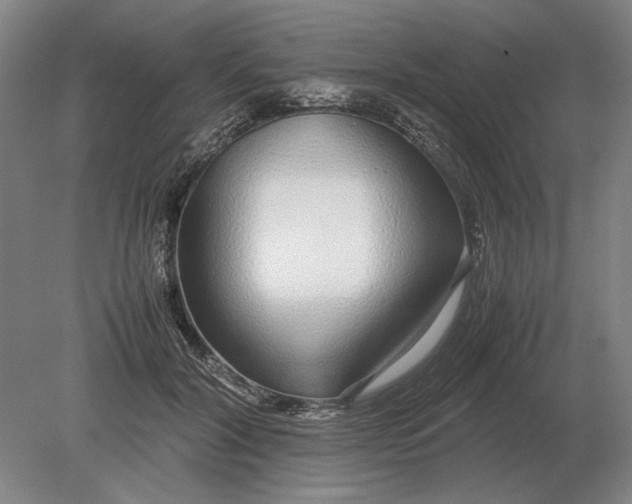 X0000079300604200612011751