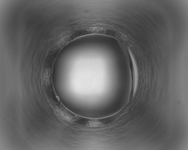 X0000079300605200612011751