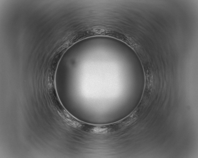 X0000079300606200612011751