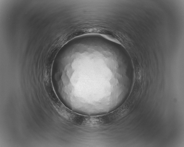 X0000079300607200612011751