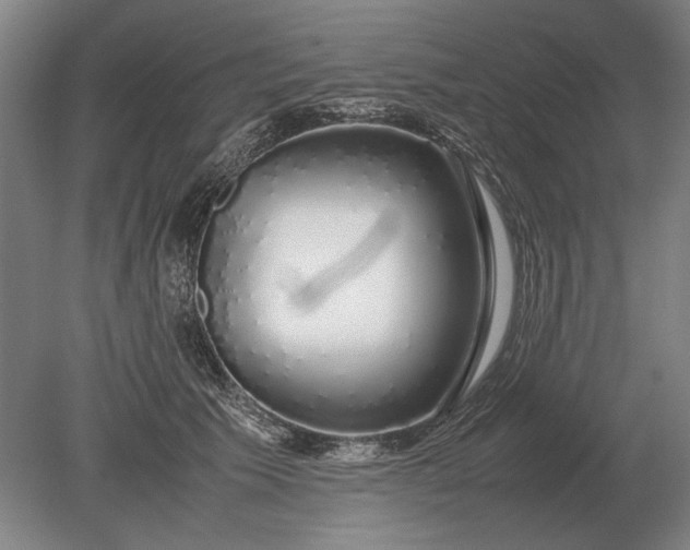 X0000079300609200612011751