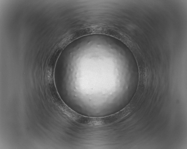 X0000079300610200612011751