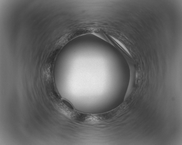 X0000079300611200612011751