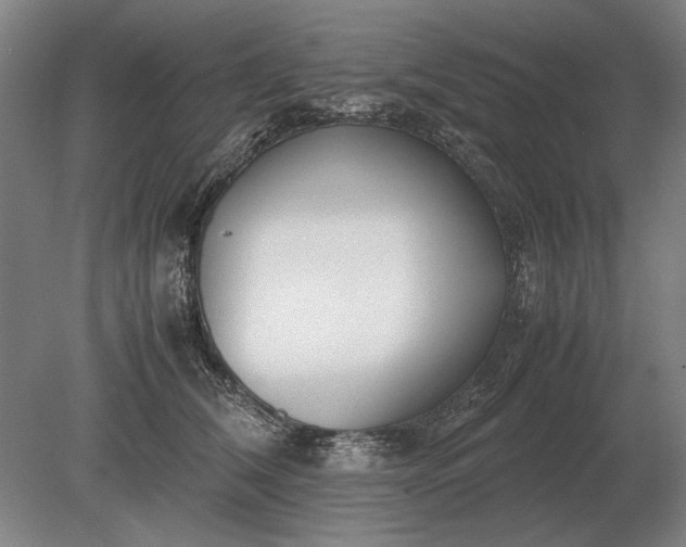 X0000079300612200612011751