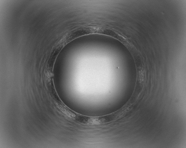 X0000079300613200612011751