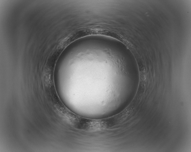 X0000079300615200612011751