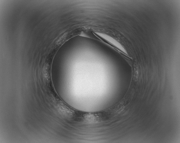 X0000079300616200612011751