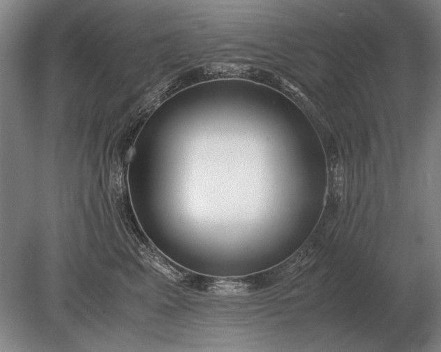 X0000079300617200612011751