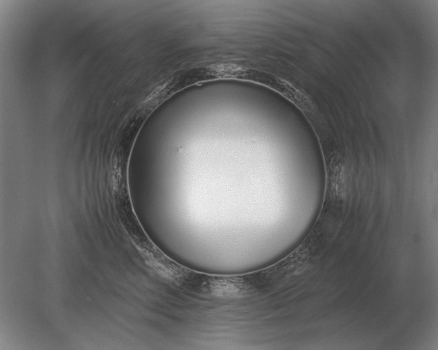 X0000079300618200612011751