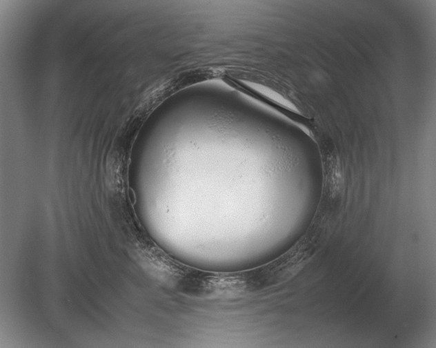 X0000079300619200612011751