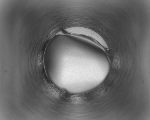 X0000079300620200612011751