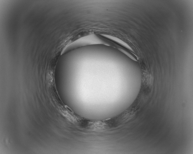 X0000079300621200612011751