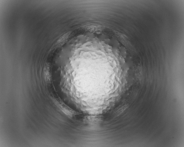 X0000079300622200612011751