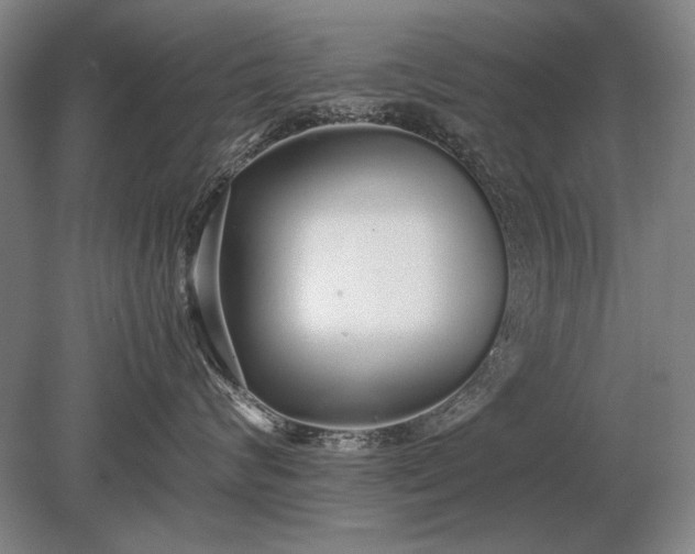 X0000079300624200612011751