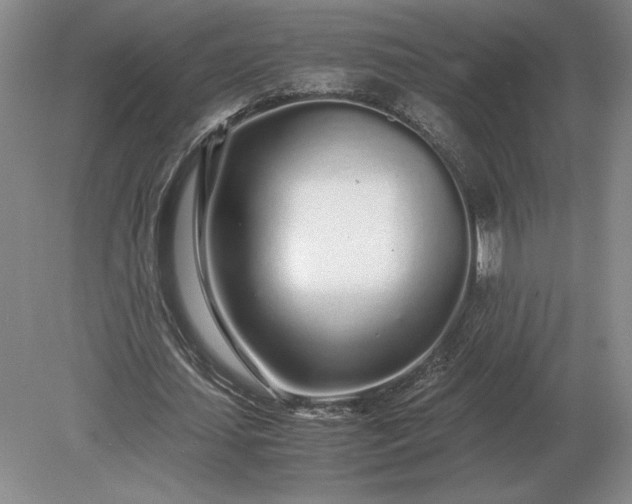 X0000079300627200612011750