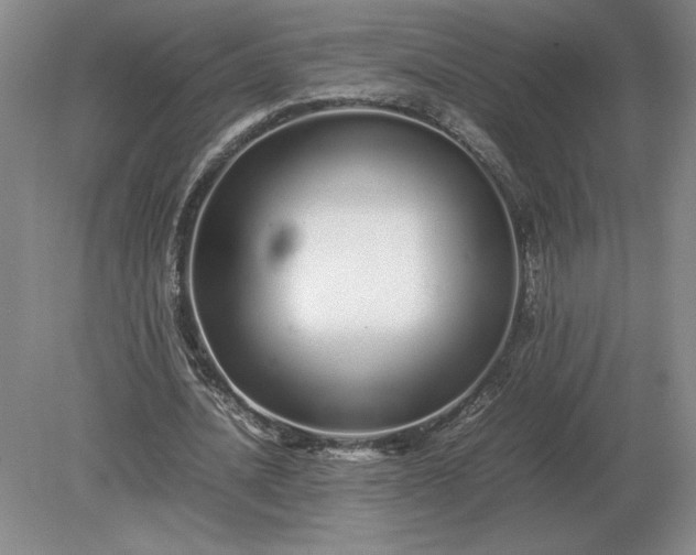 X0000079300628200612011750