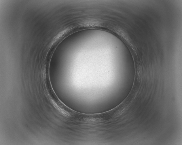 X0000079300629200612011750