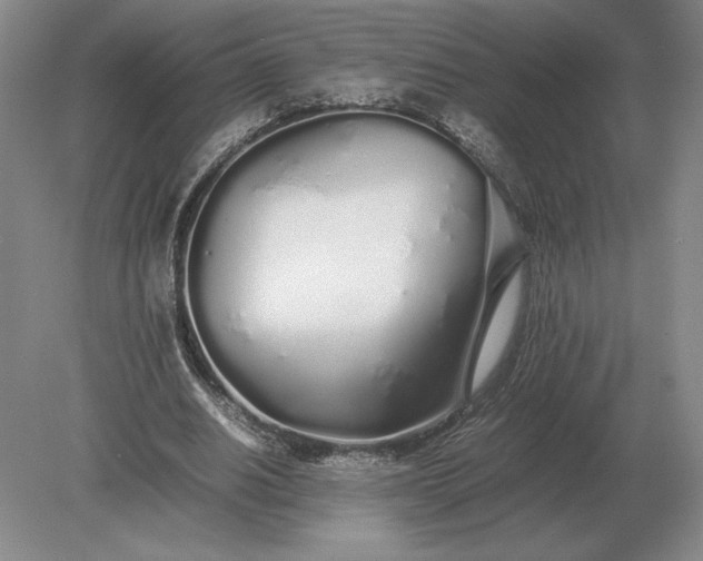 X0000079300630200612011750