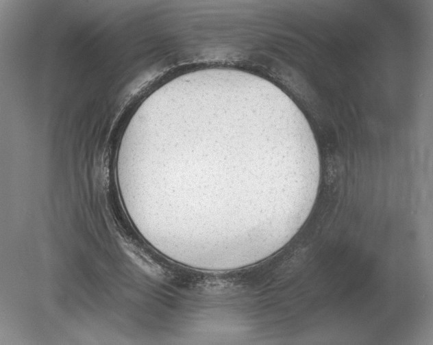 X0000079300632200612011750