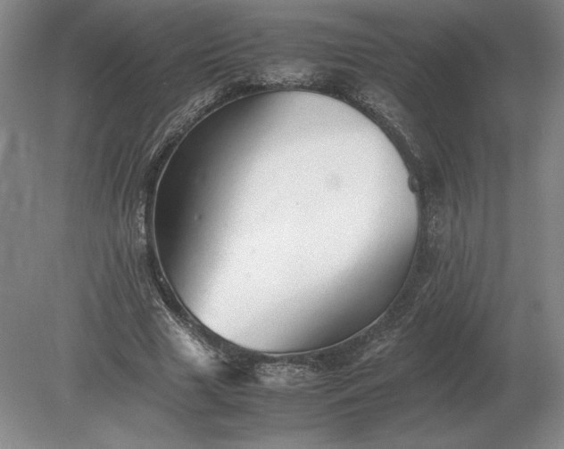 X0000079300633200612011750