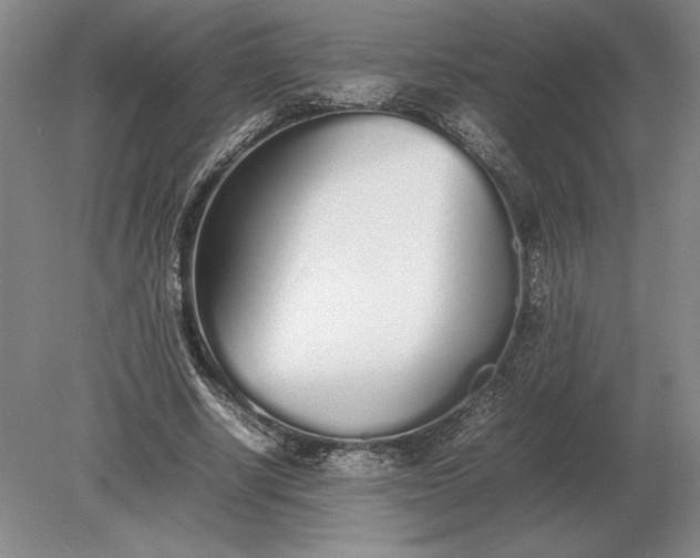 X0000079300634200612011750