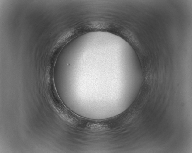 X0000079300635200612011750