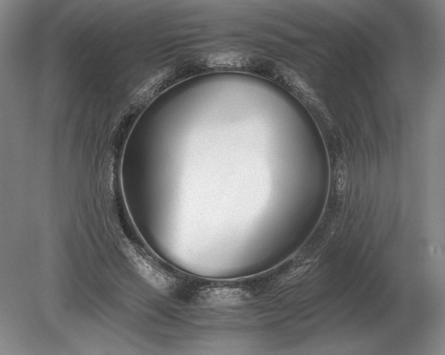 X0000079300637200612011751