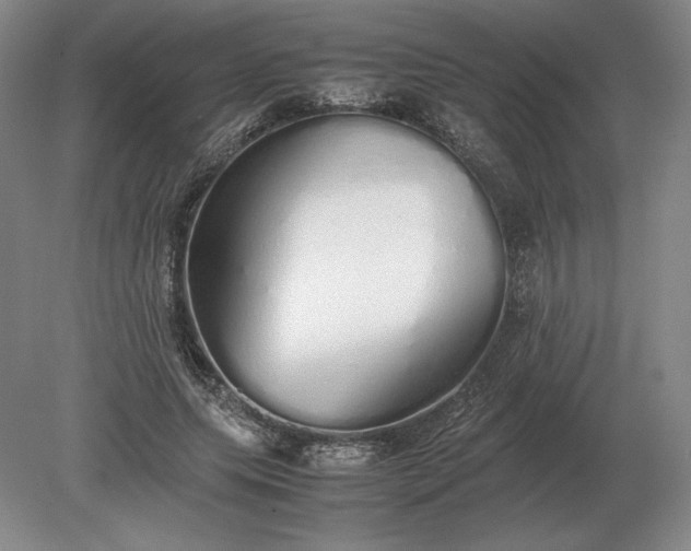 X0000079300639200612011751