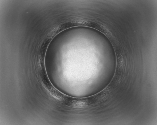 X0000079300643200612011751
