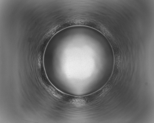 X0000079300644200612011751