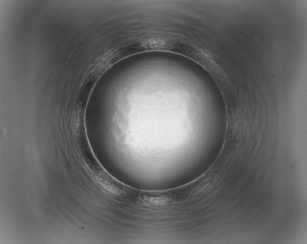 X0000079300645200612011751