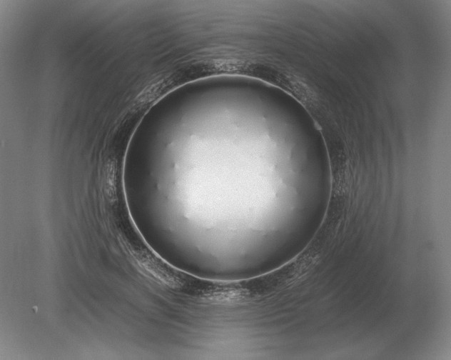 X0000079300646200612011751