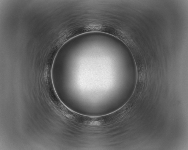 X0000079300647200612011751